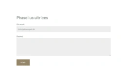 En kontaktformular på en hjemmeside